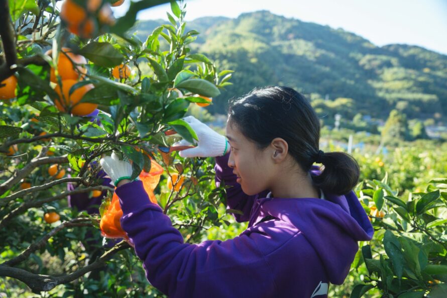 こども起業留学